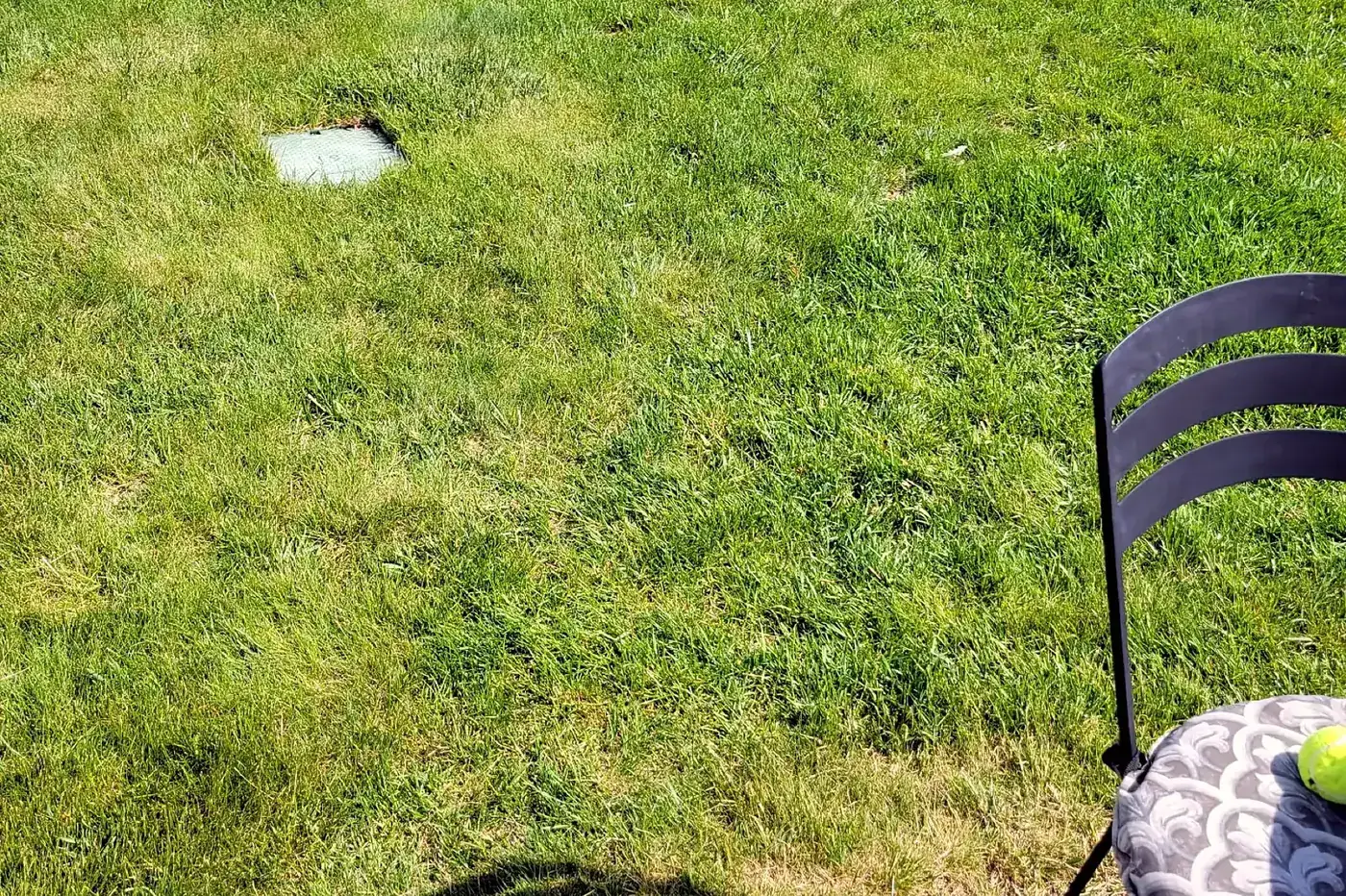 Sod & Turf Installation in Lakeside, MT